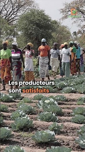 Burkina Faso : Visites commentées de Champs-Écoles pour renforcer les compétences des producteurs