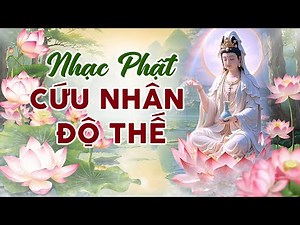71 Bài Nhạc Phật Hay Nhất, Cứu Nhân Độ Thế - Liên Khúc Nhạc Phật Giáo Mới Nhất 2025