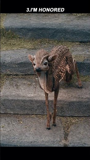 The Truth About the Qilin in Fantastic Beasts 3 | Who Really Chooses the Wizard Leader?