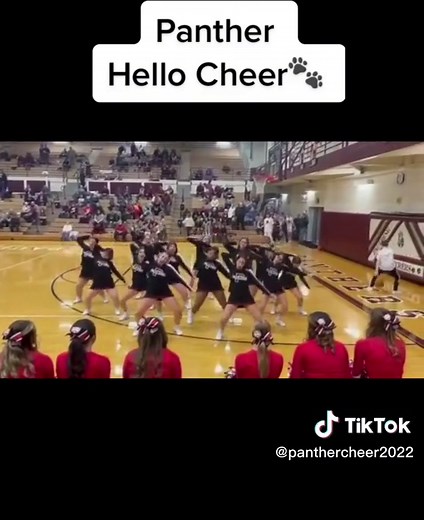 Panther Hello Cheer: High School Basketball Cheerleader
