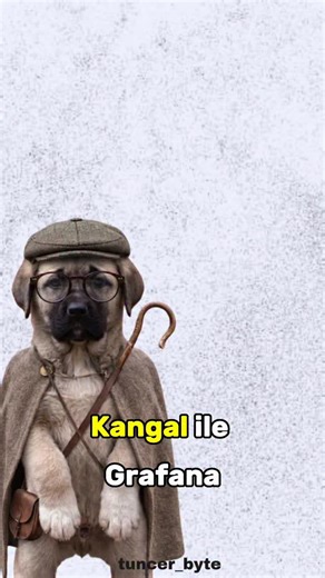 Tuncer Byte on Instagram: "Grafana, sistem ve uygulama verilerini görselleştirmek için kullanılan açık kaynaklı bir izleme (monitoring) ve dashboard aracıdır. Sunucu, uygulama, veritabanı veya servislerden gelen metrikleri (CPU, RAM, istek sayısı, hata oranı vb.) grafikler, tablolar ve paneller halinde gerçek zamanlı olarak gösterir. Genelde Prometheus, InfluxDB, Elasticsearch, MySQL gibi veri kaynaklarıyla birlikte kullanılır ve alarm/uyarı kurarak sistemde bir sorun olduğunda haber verir."