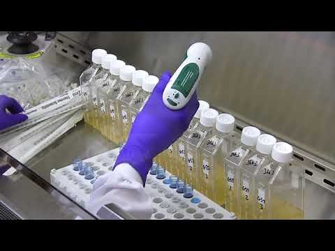 Site Tour of Catalent’s Madison, WI Facility