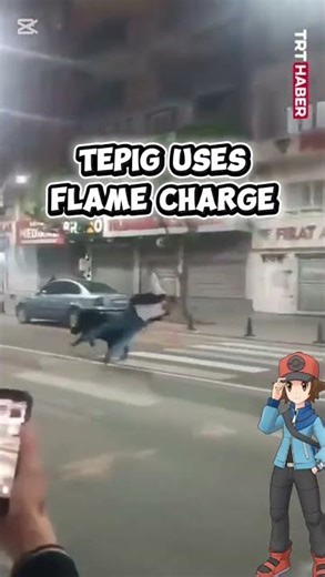 tepig used a super effective flame charge