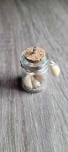 Mini Shell Jar | Mini Shell Vial - Etsy