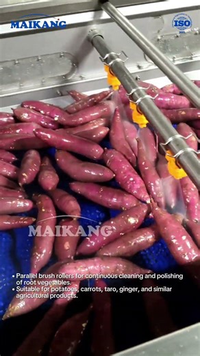 Inside the vegetable washing stage in food processing #FoodProcessingMachine#IndustrialFoodEquipment