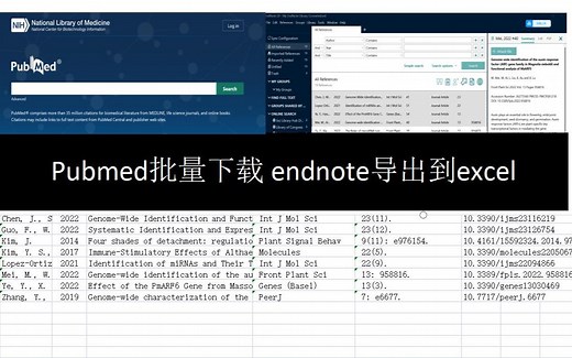 PubMed批量下载文献 endnote导出到excel样式修改