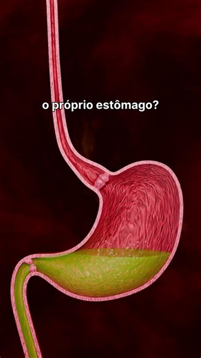 👉 Seu Estômago Produz Ácido Capaz de Derreter Metal