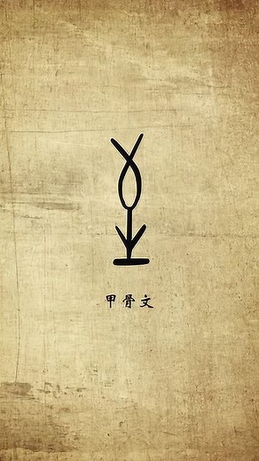 动画演示汉字的演变过程，最早表示到达，至始至终！