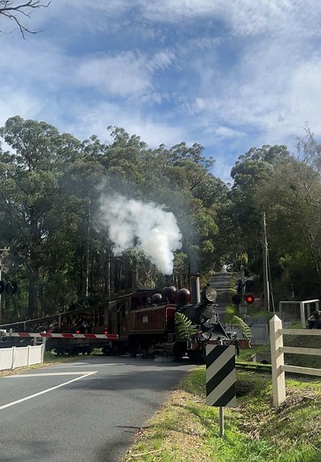 Experience Anzac Day with Puffing Billy Steam Train