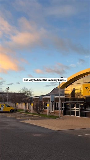 This is your reminder that our rehoming centres are open to the public five days a week and you don’t need an appointment to visit 💛 Where is your nearest Dogs Trust rehoming centre? 🐶 Check your local centre's opening times: https://bit.ly/45K7M7Y [Video description: This video shows some of the lovely dogs from Dogs Trust Manchester. The video encourages people to visit their local centre.] | Dogs Trust