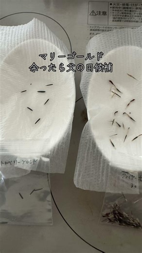 父の日の準備