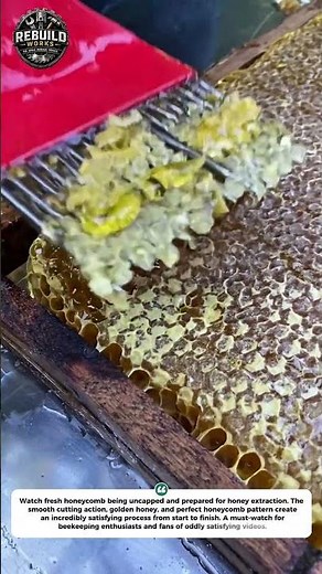 Satisfying Honey Harvest Process