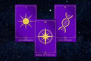 What a Polygenic Risk Score Can and Can’t Tell You