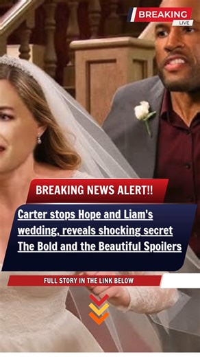 🎥 FULL STORY REVEALED:https://movnews.vi.money/carter-interrupts-hope-and-liams-wedding-exposing-a-devastating-secret-that-changes-everyones-lives-forever/ #BoldandBeautiful #BoldandBeautifulCBS #BBspoilers | Sharon Case Loyal Fans