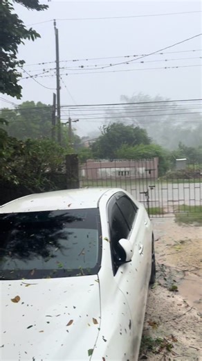 Lust, you survived the storm #mellisa , she got her first wash day then #markx #Lust