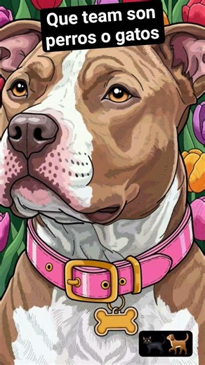 perro o gato si quieren descargarse la aplicacion de colerear es Zen Color es divertido #humor