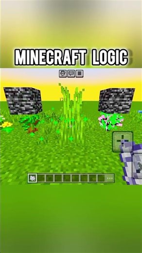 MINECRAFT LOGIC. #minecraft #facts