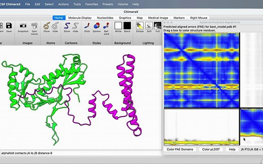 Evaluating AlphaFold protein-protein binding with ChimeraX