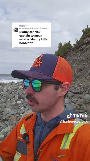 Exploring Newfoundland Slang: Fun Hobbles Explained