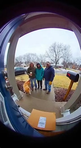 Watch as a mailbox goes wild in the wind, causing laughs, barks, and slips in this chaotic doorbell cam clip! Featuring grainy, fish-eye lens distortion and echoey sounds for that authentic vibe. Disclaimer: “This video is AI-generated for entertainment purposes only. Do not take it seriously.” #FunnyPets #EpicFail #MailBoxMadness #DoorbellCam | Tiny Tale Hub