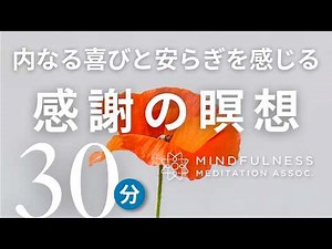 Gratitude Meditation: Mindfulness meditation that helps you feel inner joy and increase your sens...