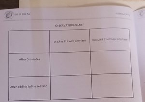 Create an observation chart for an experiment involving two sam... | Filo