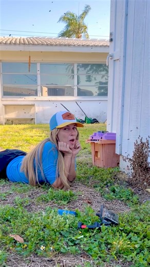 155K views · 3.3K reactions | Does a queen bee call the shots inside of a beehive? | How’s Your Day Honey | Facebook