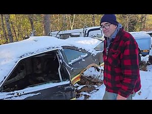 FINAL YEAR ROAD RUNNER