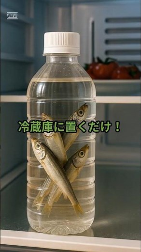 【節約裏ワザ】煮干しを水に入れるだけで出汁完成！#キッチン雑学 #節約術 #時短レシピ #煮干し出汁 #水出し #簡単レシピ #料理のコツ #食材保存 #ai #aiアニメ
