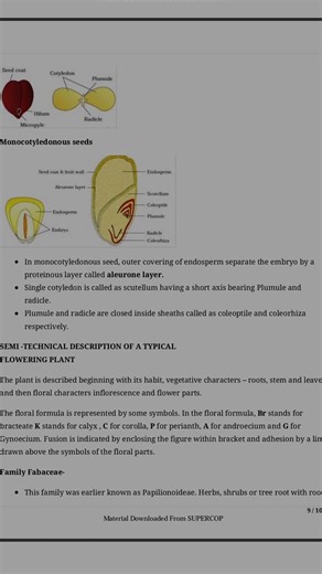 class 11th biology ch 5 notes |class11thbiologych5 notes #classnotes #biologyclass #boardexamination