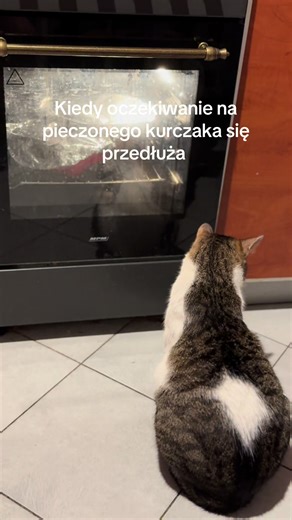 #cat #trend #catlover #dc #dlaciebie