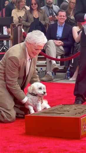 Glenn Close included her pup's paw print in her Hand and Footprint Ceremony at #TCM Classic Film Festival. #TCMFF