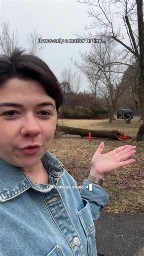 I knew it was only a matter of time that tree split.. glad it didn’t fall on the power lines or cars🫣 Big thanks to Mike’s Tree service (Hammonton, NJ) for getting this all today!! #treeservice #fallentree #yardmaintenance #oldhome