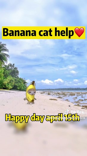 Happy Cat and Banana Cat Funny Kitchen Adventure