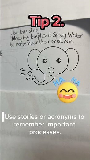 PSLE No Time To Study? High Achievers Used These. 5 Easy PSLE Maths Study Tips.