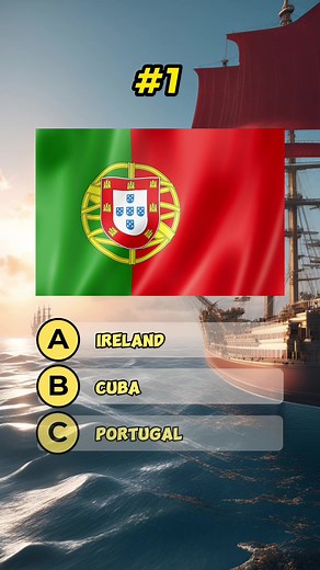 How many did you get correct? #flag #trivia #questions #triviachallenge #countryquiz #guesstheflag #fypシ