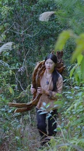 One day I went into the forest to find a bonsai tree. #bonsai #moutainlife #bonsaitree #garden #분재