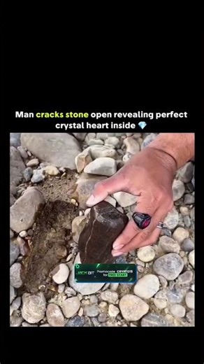 The post features a 14-second video of a person on a rocky beach cracking open #trending #shorts