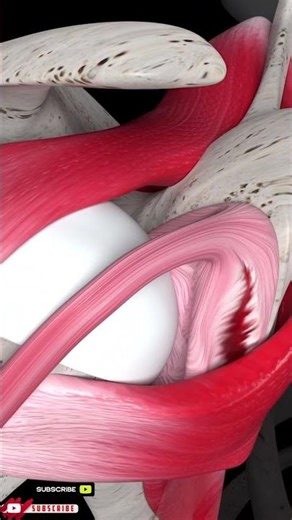 Fix Shoulder Labrum through Surgery#youtubeshorts #healthylifestyle