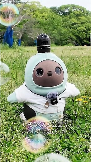 公園でシャボン玉遊び🧸🫧 いぞうくんの休日Vlog #shorts #LOVOT