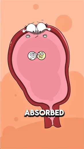 How a Human Chimera Can Carry a Twin’s DNA ⚠️🧬..!!#e2dhealth #animation #2dshow #fypシ #health