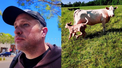 Building a Bird Hatchery: Making Real Progress