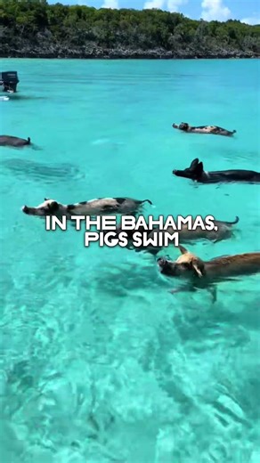 Did You Know These 3 Facts? 🌍🤯