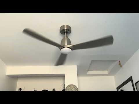 44” Fanimation Kute Ceiling Fan (2026 Remake/Birthday Special)