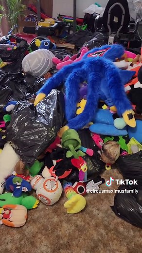 Adorable Rainbow Friends Plushies Collection