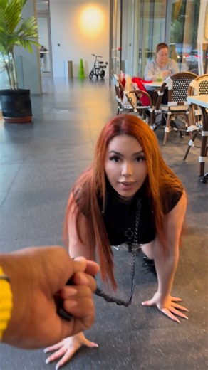 Mimi Official🥰 on Instagram: "Always doggy 🐶🐾 #mimizinha #reels #viral #viralvideos #humor"