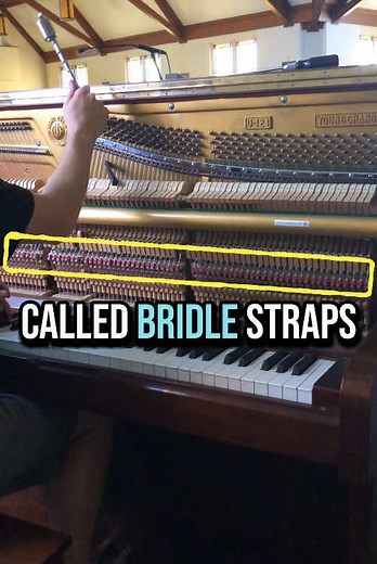 PianoTuning101 on TikTok