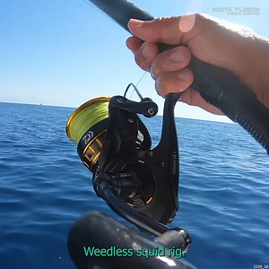 Complete MAHI Mayhem! | South Florida Fishing Channel