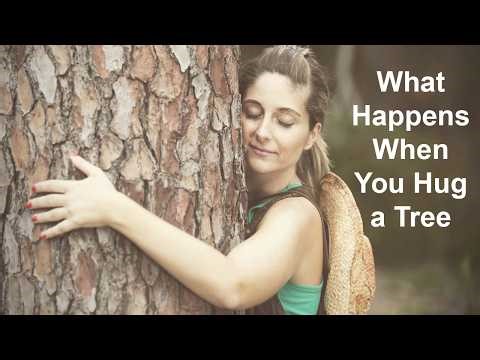 What Happens When You Hug a Tree