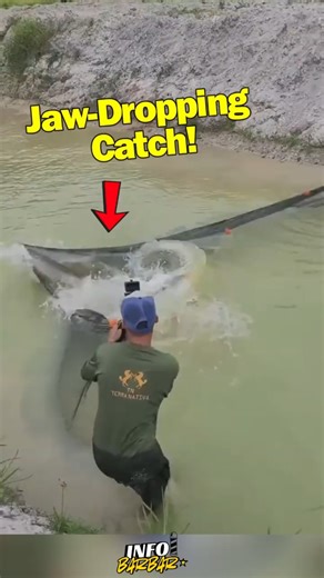 Epic Fight! Massive River Fish Caught by Surprise! #shortsfeed #funny #fishing